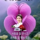탁류청류(濁流淸流) 이미지