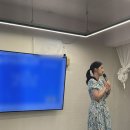 [행크 서투스3기 2주차 후기] 부세 선생님의 마법에 걸려버렸습니다.