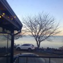 고흥살이사관학교