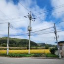 옥계2리 마을회관 이미지