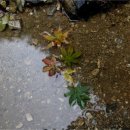 다온도서관 이미지