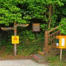 갈바람 - 미추홀구 | 여수 금오도 비렁길 1코스에서 5코스까지 오기가 만들어 낸 당일 완주 연골과 바꾼 역대급 풍경