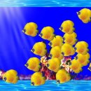 영어회화2 이미지