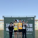 영동군청 충북뉴스
