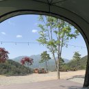 청산관광농원 캠핑장 | 합천 오도산 관광농원 캠핑장 뷰 맛집 봄캠핑 후기 A19 사이트, A11 사이트