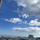 외도반점