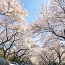 모리다락방