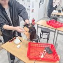 자연각 | 원주헤어학원 2과제 스파니엘, 이사도라 커트 제일 많이 하는 실수