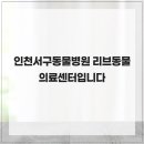 리브동물의료센터 | 인천서구동물병원 리브동물의료센터입니다