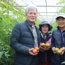 대저농협유통센터(APC) 이미지