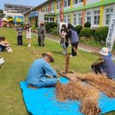 서광초등학교 이미지