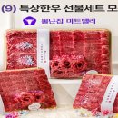 뿔난집미트델리