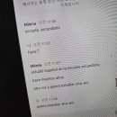 입문 스페인어 회화 이미지