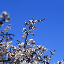 충무공파출소 이미지