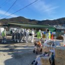 대한농장1 이미지