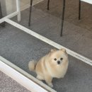 오토오아시스 롯데마트 첨단점 네이버블로그