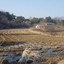 장암면지토리보건진료소 이미지