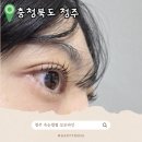 모모당 | 청주 속눈썹펌 복대동 모모라인 시술 후기