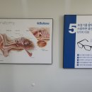 독일귀편한보청기