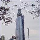 벚꽃실비 네이버블로그
