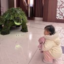 오리떼편의점 | 아기랑 인스파이어 호텔 숙박 스플래시베이 수영장 홍반 후기