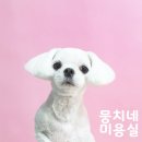 뭉치네 미용실 이미지