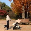 썬라이너 | 부가부 드래곤플라이 절충형 유모차 추천, 콩제슬래드 썬캐노피 파라솔 후기