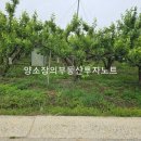 대창면행정복지센터 이미지