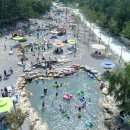 동해무릉건강숲 이미지