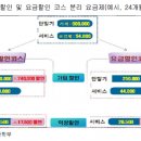 단유통신 머니투데이