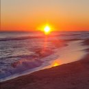 설봉로 | 이천창전동지게차 고객님 소중한 재산 안전하게 작업 잘하는 업체 소개합니다