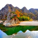 자연-이미지 이미지