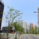 여주-0043 이미지