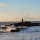 동호전자 이미지