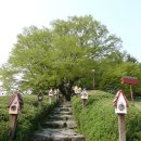 밀양시 초동면 종남산(662,4m) 진달레꽃 산행 이미지