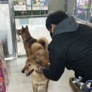 (주)디케이코리아 네이버블로그