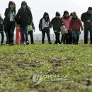 한강시민공원(화훼단지) 이미지