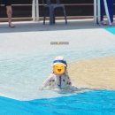 덕신공원 1 이미지