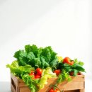 길식농장 이미지