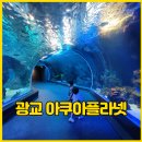 광교 아쿠아플라넷 두딸과 다녀온 리얼 후기 (할인,주차,간식 등)