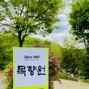 젠모터스 이미지