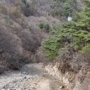 용동천 Daum카페
