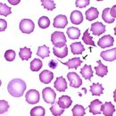 광주주사랑의원 이미지