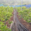 계산농장 이미지