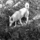 행복솔루션 이미지