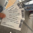 경마공원 | 과천 데이트 벚꽃코스 추천 경마공원 후기 주차