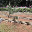 연제문화체육시설 이미지