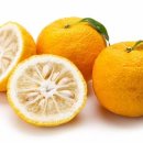 크로스핏 라온 이미지