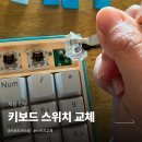 스위치 | 앱코 AN94BT 레몬바스켓, 키보드 스위치 교체 후기 (스위치 빼는법, 갈축, 스위치 추천)