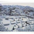 서울복사 이미지